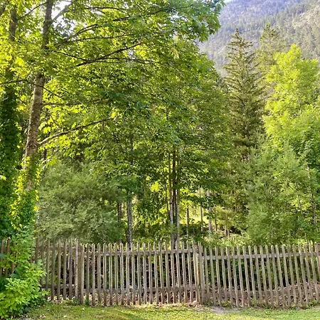 Spacious For & Summer Adventures Chalet Lofer